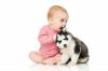 Câine și bebeluș: regulile adaptării reciproce