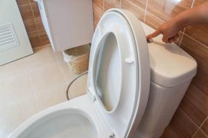 De ce se toarnă detergent lichid pentru vase în toaletă?