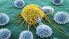 Cum natura ajută la combaterea cancerului