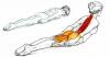 8 exerciții pentru a ajuta la indreptarea posturii și alină dureri de spate