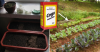 Cum pot folosi bicarbonat de sodiu pe parcele de grădină