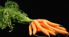 11 proprietăți de morcov