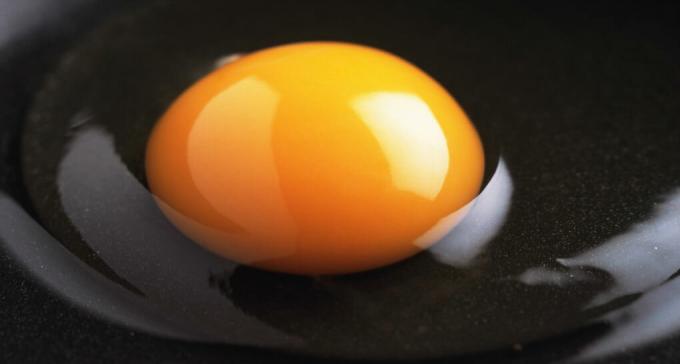 Ou alb - albusul unui ou