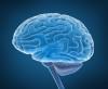 Primele simptome ale unei tumori cerebrale