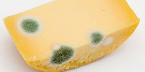brânză Stricat