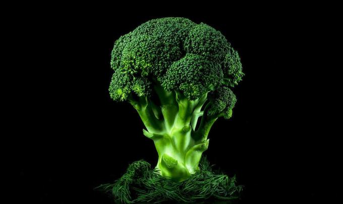 Broccoli - broccoli