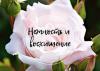 12 nuanțe donat trandafiri și semnificația lor