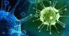 Virusurile: cum noastre lupte corp împotriva lor?