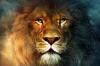 12 caracteristici ale Lions, pentru care le va iubi