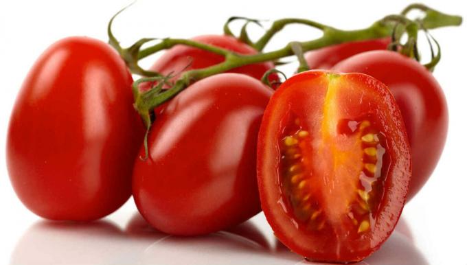 tomată