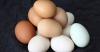 Spulberate mitul ouă rău controversate