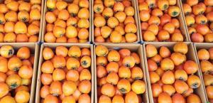 5 motive pentru a cumpăra persimmons chiar acum