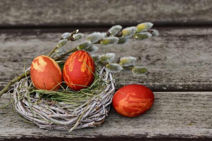 Cum să colorați ouă de prepeliță de Paște cu mâncare: sfaturi dovedite